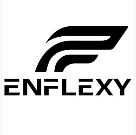 Enflexy logo